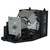 Original Inside Lamp & Housing for the Eiki EIP-2500 Projector with Phoenix bulb inside - 240 Day Warranty