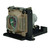 Original Inside 60.J5016.CB1 Lamp & Housing for BenQ Projectors with Philips bulb inside - 240 Day Warranty