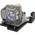 Jaspertronics™ OEM 5811100256-S Lamp & Housing for Optoma Projectors with Original High-Quality bulb inside - 240 Day Warranty