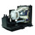 Original Inside 456-8935 Lamp & Housing for Dukane Projectors with Ushio bulb inside - 240 Day Warranty