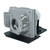 Compatible Lamp & Housing for the Optoma DP7290 Projector - 90 Day Warranty