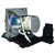 PT-LX300U-LAMP