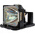 iP-65E-LAMP