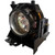CP-HS900-LAMP