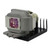 PJ560DC Original OEM replacement Lamp