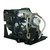 Compatible Lamp & Housing for the 3D Perception SX 40 Projector - 90 Day Warranty