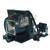 DS+25W-LAMP