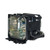 HS2 Original OEM replacement Lamp