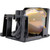 iP-60E-LAMP