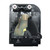 H76 replacement lamp