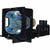 Compatible Lamp & Housing for The Toshiba TLP-261 Projector - 90 Day Warranty