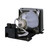 Compatible EC.J2901.001 Lamp & Housing for Acer Projectors - 90 Day Warranty