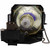 HCP-76X replacement lamp