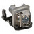 DN244-LAMP