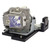 D825MS replacement lamp