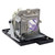D825MS replacement lamp