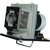 EP747T-LAMP