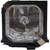 VPL-HS1 replacement lamp