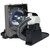 HS1800-LAMP