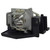 AD20X replacement lamp