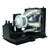 Original Inside SP-LAMP-015 Lamp & Housing for Infocus Projectors with Ushio bulb inside - 240 Day Warranty