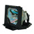 TLP-X21DC-LAMP