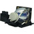 PE2240-LAMP PE2240-LAMP