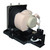 P1101 replacement lamp