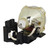 Compatible Lamp & Housing for the JVC LX-P1010ZE Projector - 90 Day Warranty