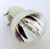 H7530 Bulb