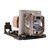 TX610ST replacement lamp