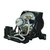 Action-M25 replacement lamp