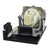 D825EX replacement lamp