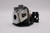 Compact-228-LAMP