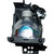 dv235 Original OEM replacement Lamp