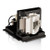 IN5586-LAMP1-LAMP