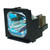 Original Inside LAMP-019 Lamp & Housing for Proxima Projectors with Philips bulb inside - 240 Day Warranty