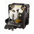REALiS-X700-LAMP