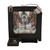 Home-10+-LAMP
