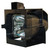 iCon-H250-SINGLE replacement lamp