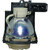 PB2120-LAMP PB2120-LAMP