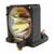 PT-L758-LAMP