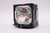 Compatible Lamp & Housing for The Sony CX10 Projector - 90 Day Warranty