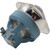 Advanced Lamps 11R Stage Touring Lamp Replaces the MSD Platinum Broadway - 303628