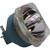 Advanced Lamps 11R Stage Touring Lamp Replaces the MSD Platinum Broadway - 9281-917-05314