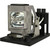 Jaspertronics™ OEM AN-PH50LP1 Lamp & Housing for Sharp Projectors with Original High-Quality bulb inside - 240 Day Warranty
