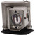 DX619 Original OEM replacement Lamp