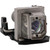 TW536 Original OEM replacement Lamp
