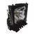 Image-Pro-8711 Original OEM replacement Lamp