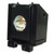 Compatible Lamp & Housing for the Samsung HLR5067WAX/XAA TV - 90 Day Warranty